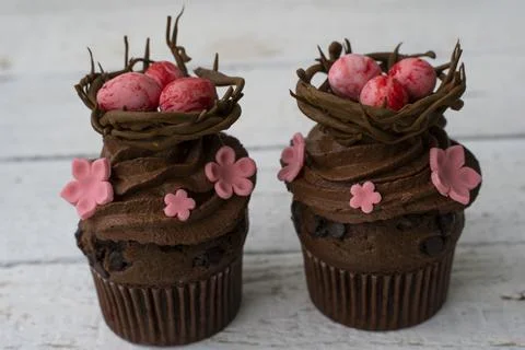 Chocolate easter cupcake with chocolate nest and decorative eggs. Spring flow Stock Photos