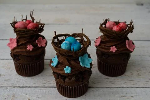 Chocolate easter cupcake with chocolate nest and decorative eggs. Spring flow Foto stock