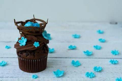 Chocolate easter cupcake with chocolate nest and decorative eggs. Spring flow Stock Photos
