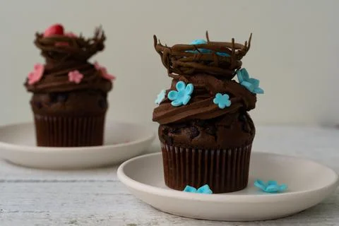 Chocolate easter cupcake with chocolate nest and decorative eggs. Spring flow Stock Photos