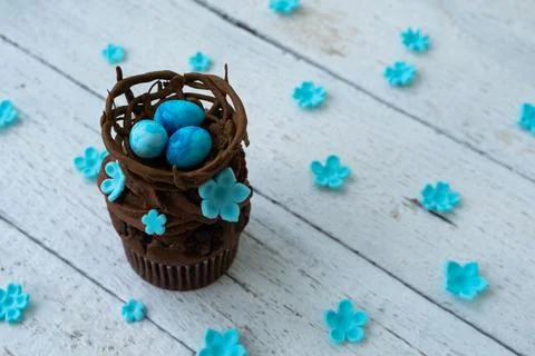 Chocolate easter cupcake with chocolate nest and decorative eggs. Spring flow Stock Photos
