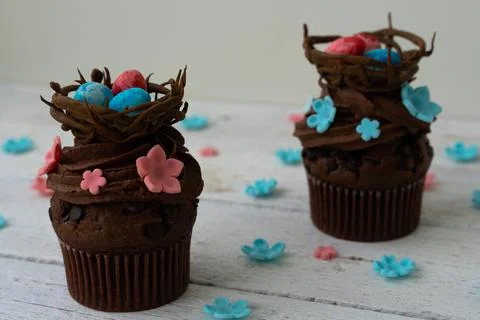 Chocolate easter cupcake with chocolate nest and decorative eggs. Spring flow Stock Photos