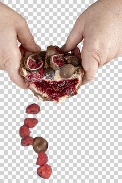 Chocolate Easter egg. Stuffed with white Brazilian truffle and raspberry ja.. Stock Photos