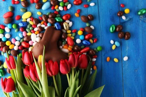 Chocolate Easter eggs and bunny with fresh easter flower Stock Photos