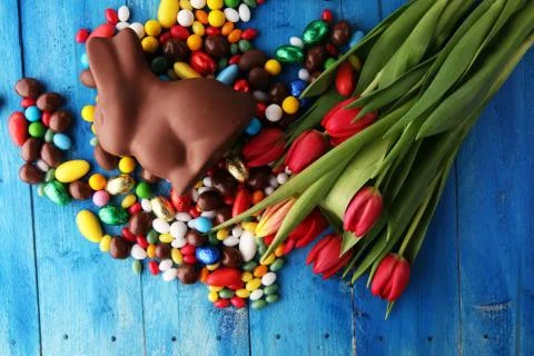 Chocolate Easter eggs and bunny with fresh easter flower Stock Photos