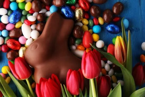 Chocolate Easter eggs and bunny with fresh easter flower Stock Photos