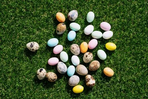 Chocolate Easter eggs glazed with pastel coloring and quail eggs over green g Stock Photos