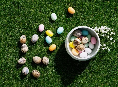 Chocolate Easter eggs glazed with pastel coloring and quail eggs in a bowl an Stock Photos