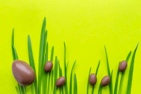Chocolate Easter eggs on the grass, on a green yellow background. Big and sma Stock Photos