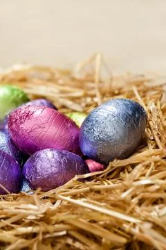 Chocolate easter eggs in a natural straw nest Stock Photos