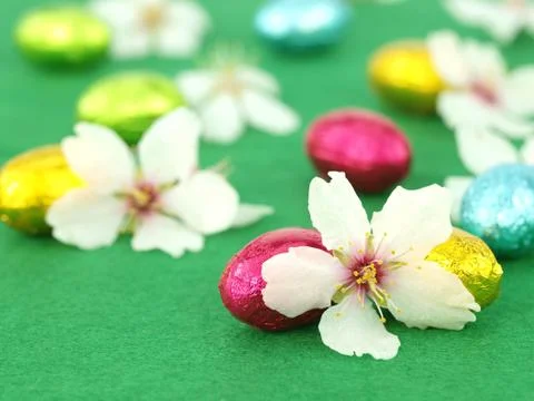 Chocolate Easter eggs with spring flowers Stock Photos