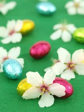 Chocolate Easter eggs with spring flowers Stock Photos