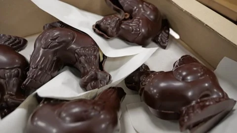 Chocolate Easter Hen Figures in Box Close Up Stock Footage 334564409