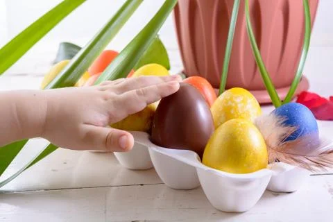 Chocolate egg among colored easter eggs. Child's finger pointing at a choco.. Stock Photos