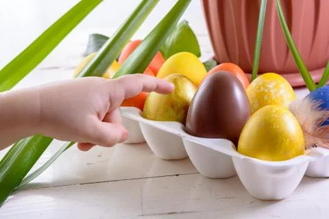 Chocolate egg among colored easter eggs. Child's finger pointing at a choco.. Stock Photos