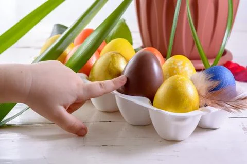 Chocolate egg among colored easter eggs. Child's finger pointing at a choco.. Stock Photos