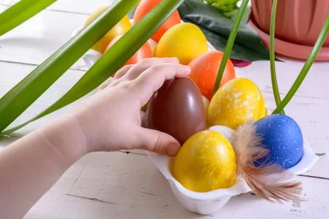 Chocolate egg among colored easter eggs. Child's finger pointing at a choco.. Stock Photos