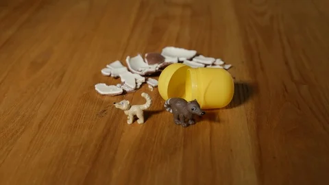 Chocolate egg Stock Footage 119246768