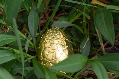 Chocolate egg hidden in grass for Easter Stock Photos
