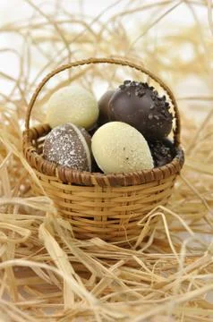 Chocolate eggs Stock Photos