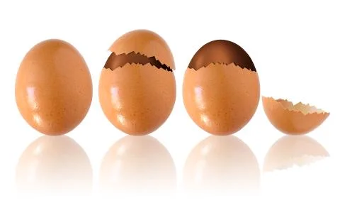 Chocolate eggs Stock Photos