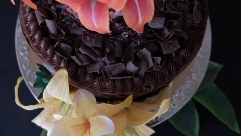 Chocolate Elegance: Cake Adorned with Edible Flowers Stock Footage 299593066