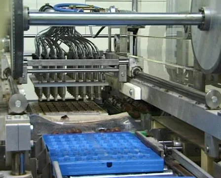 Chocolate Factory inside Vídeo Stock 630838