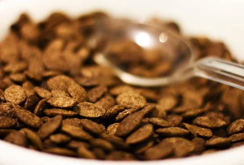Chocolate flakes with spoon for breakfast. Selective focus. Macro Stock Photos