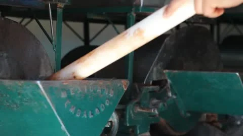 Chocolate 스톡 동영상 10763674