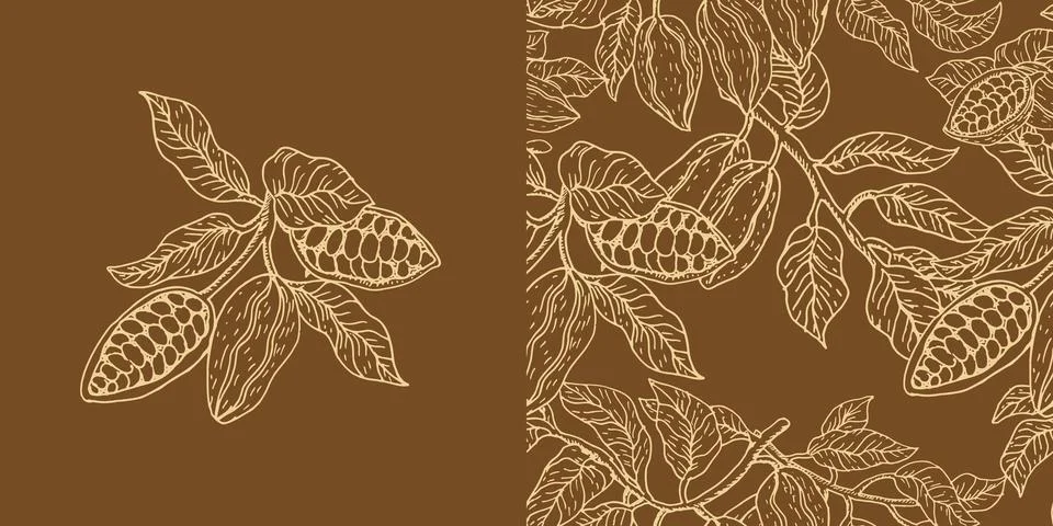 Chocolate fruit seamless pattern and cocoa branch in sketch style. Stock Illustration