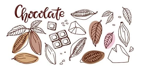 Chocolate. Hand drawn sketch vector Cocoa beans, leaves, raw chocolate chunks Stock-Illustration