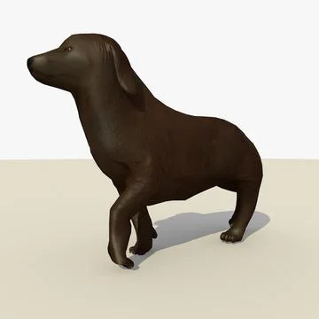 Chocolate Labrador Retriever  Dog Animated 3D Model