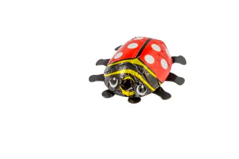 Chocolate ladybird Stock Photos