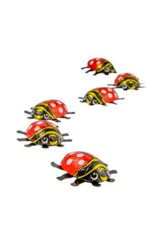 Chocolate ladybird Stock Photos