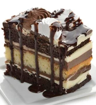 Chocolate layer cake Stock Photos