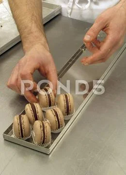 Chocolate macaroons being arranged on a baking tray Stock Photos