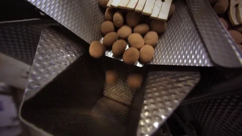 Chocolate Machine Stock Footage 70702992