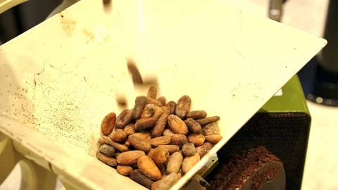 Chocolate machine grinding cocoa beans, chocolate-making process Stock Footage 125263507