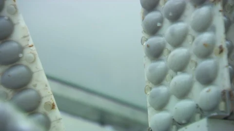 Chocolate making manufacture of Easter chocolate eggs, chocolate factory Stock Footage 123239739