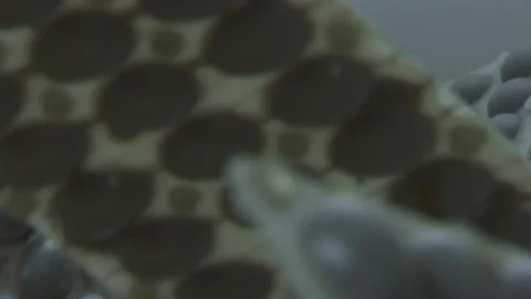 Chocolate making manufacture of Easter chocolate eggs, chocolate factory Stock Footage 123243360