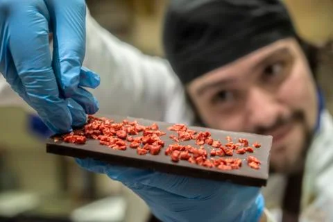 Chocolate master preparing handmade chocolate bars Stock Photos