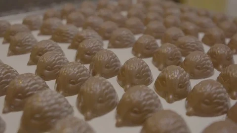Chocolate mice desserts Video stock 74069758