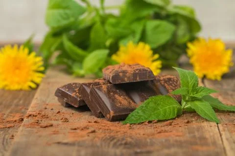 Chocolate with mint leaf Stock Photos