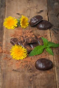 Chocolate with mint leaf Stock Photos
