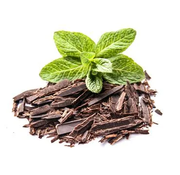 Chocolate with mint Stock Photos