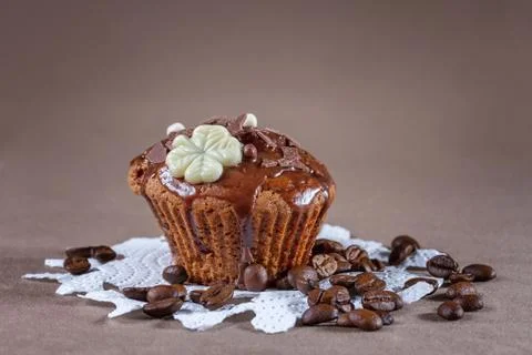 Chocolate muffin Stock Photos