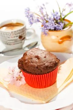 Chocolate muffin Stock Photos