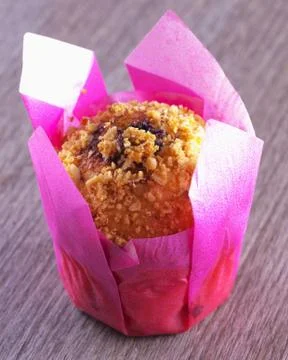 Chocolate muffin Stock Photos
