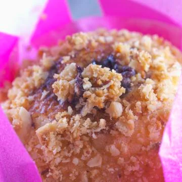 Chocolate muffin Stock Photos