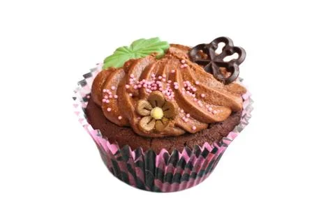 Chocolate muffin. Stock Photos